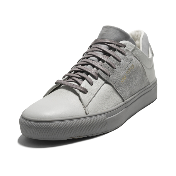 Filly Gray