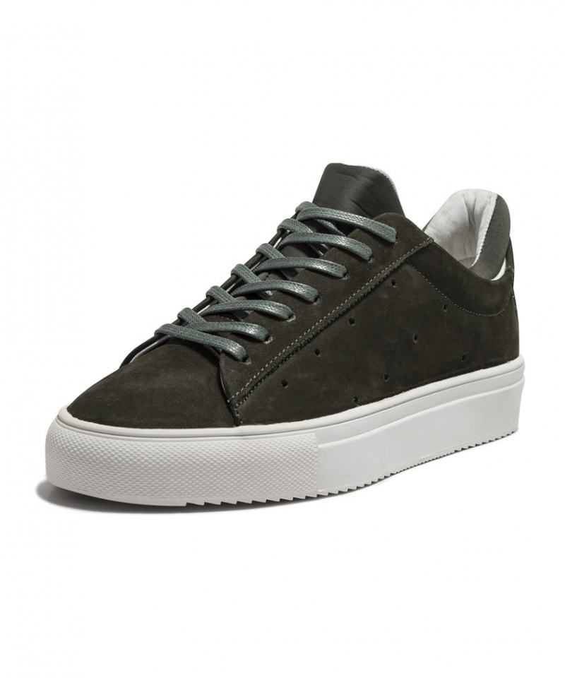 Pava Green