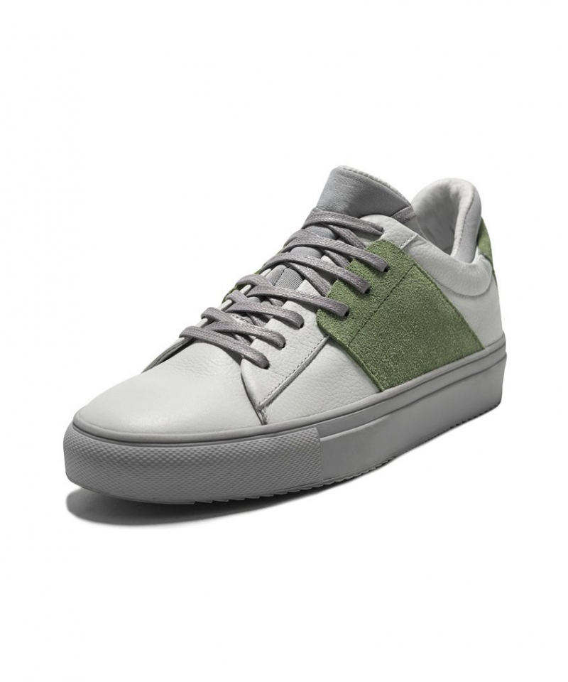Filly GrayxGreen