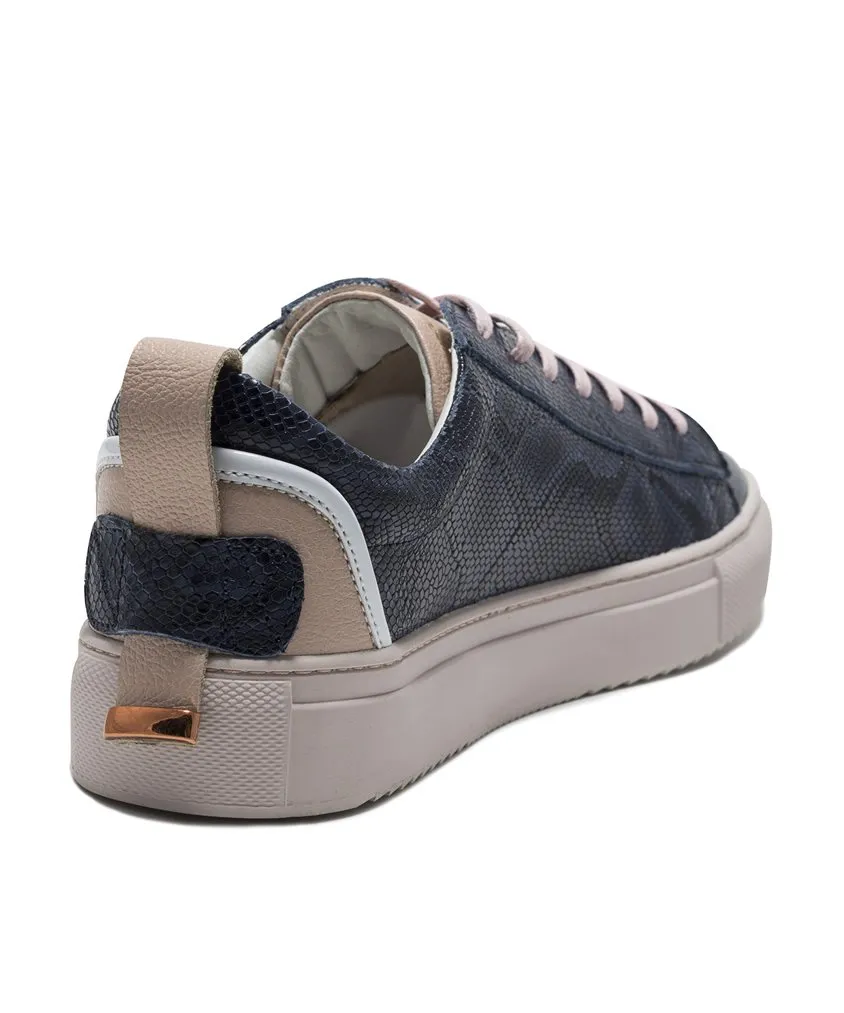 Buchem Blue Pink - Imagen 3